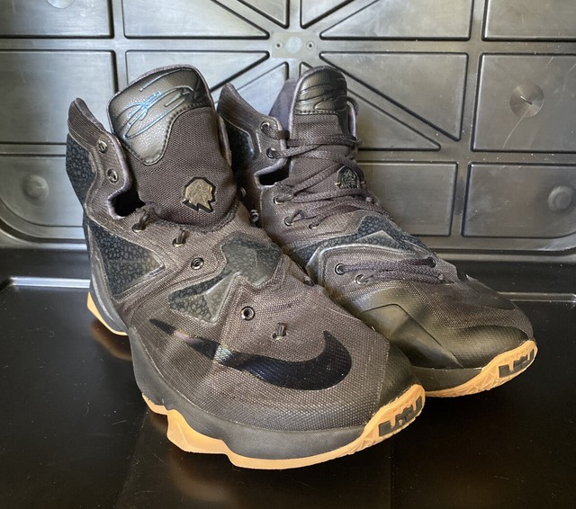 lebron james lion shoes