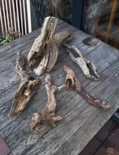 5 XL Treibholz Schwemmholz 🤩 41cm Skulptur Deko Terrarium Sukkulenten Ostern 