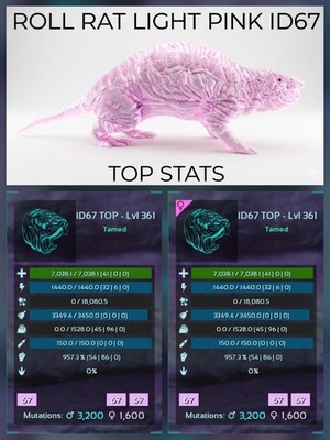 Roll Rat Top Stats - BABY PAIR -  Ark Survival Ascended Official PVE PC/XBOX/PS5