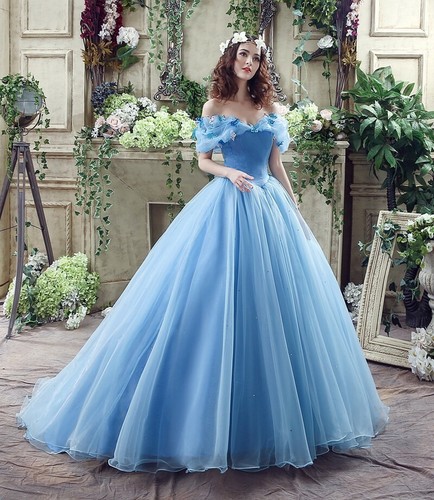 long cinderella dress