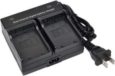 2X Battery+Charger AC Wall Dual for bln1 BLN-1 bcn1 BCN-1 Digital Camera