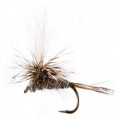 Flies Direct Adams Parachute Assortment 1 Dozen Trout Assortment, Gold 