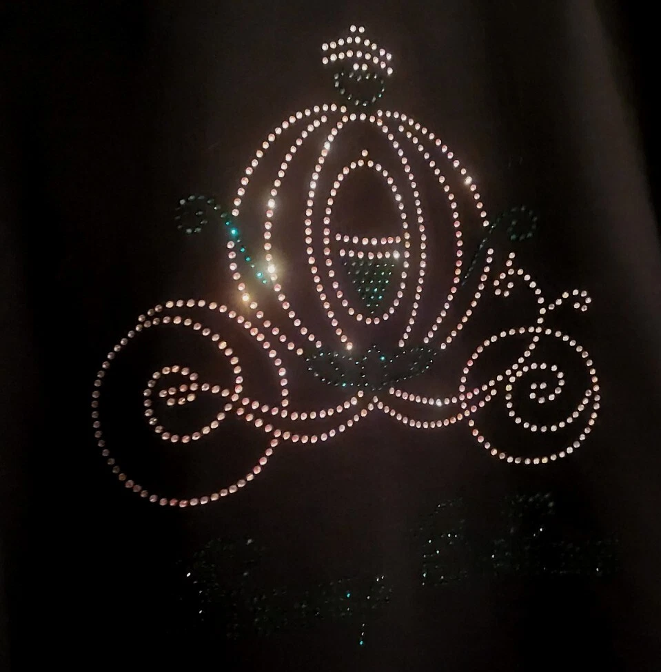 Felpa con cappuccio Disney Bride Strass Cenerentola Coach donna zip up.