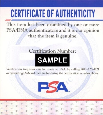 Phil Jackson Signed Autograph Floorboard Psa/Dna Coa Chicago Bulls