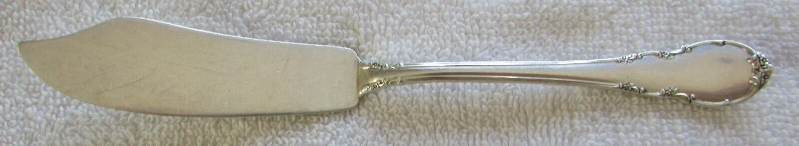 Modern Victorian Lunt sterling silver flat handle individual butter knife server