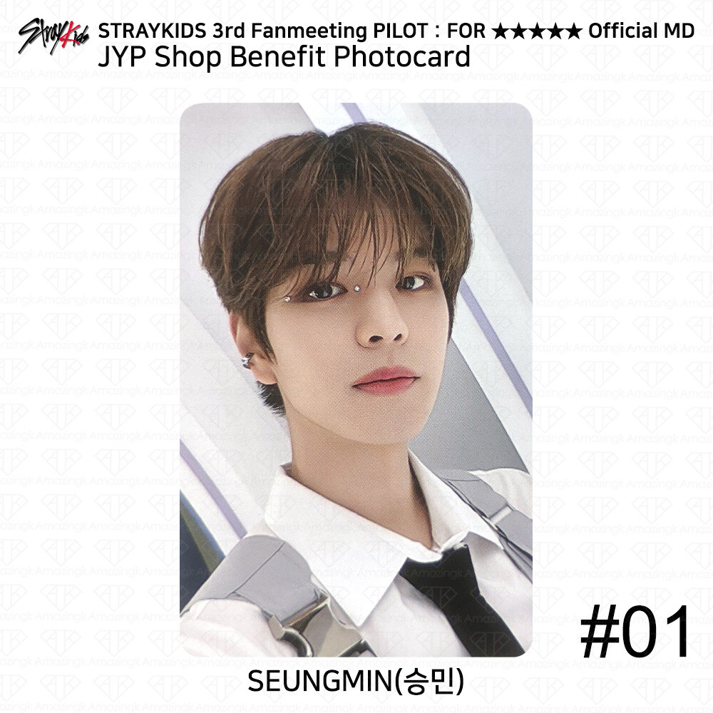 タレントカード StrayKids LEE KNOW PILOT JYP NATION Stray Kids FAN MEETING PILOT 5-STAR JYPnation SUPER STAR Official