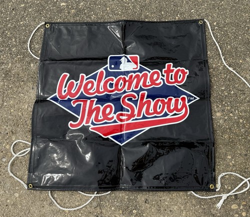 Welcome To The Show Game Used Banner Globe Life Park Texas Rangers