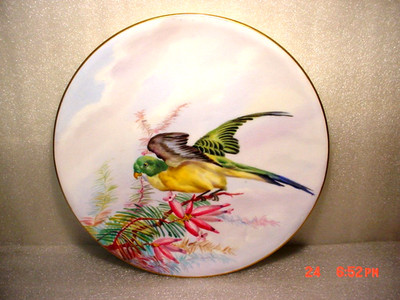 Antique Victorian Mintons Handpainted Parakeet / Parrot Cabinet Plate 1873-1890