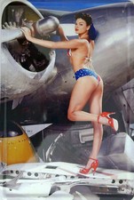 Blechschild Schild 20x30 cm - Pinup sexy Erotik Flugzeug