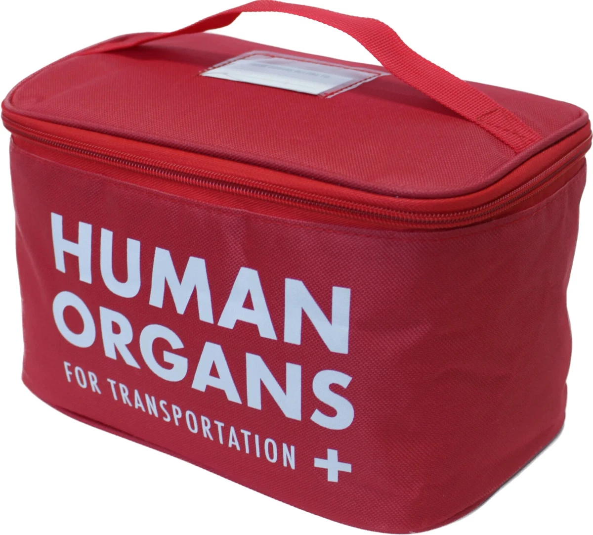 Human Organs Lunch Bag - Insulated School Cooler Gag Joke - E.M.T Medical  Prop