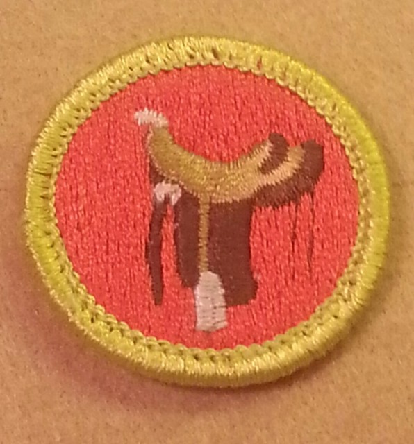 BSA HORSEMANSHIP Merit Badge Type H (197202) PLASTIC BACK A00077 eBay