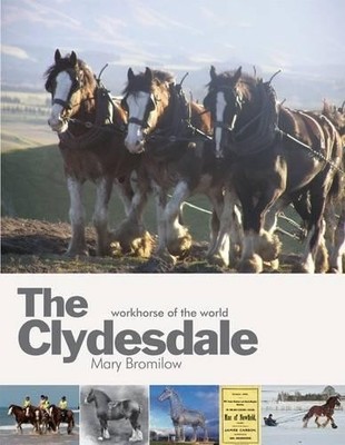The Clydesdale: Workhorse of the World by Mary Bromilow 1906134650 FREE Shipping