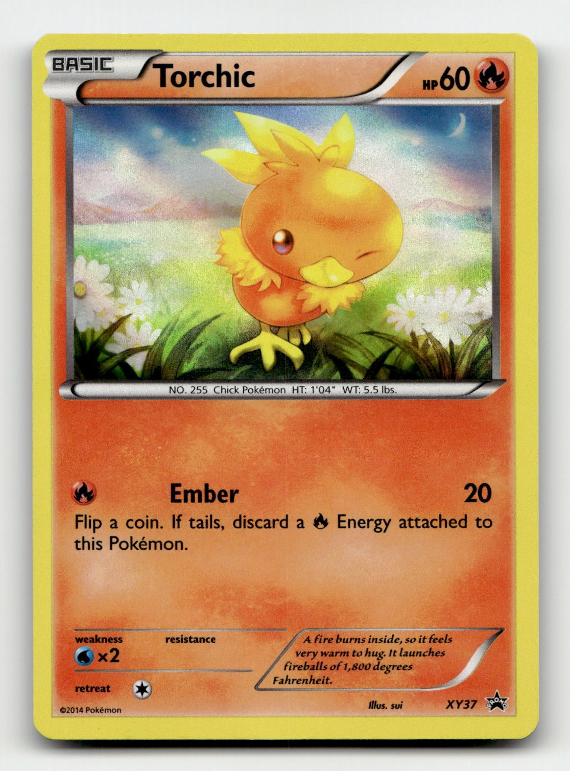 Torchic XY37 XY Promos Holofoil Pokemon