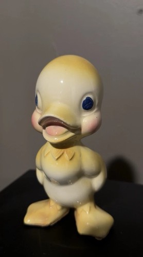 Fleshwater Duck