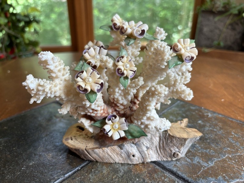 Vintage Natural Coral Specimen Seashell & Leaf Accents Wood Base Bonsai