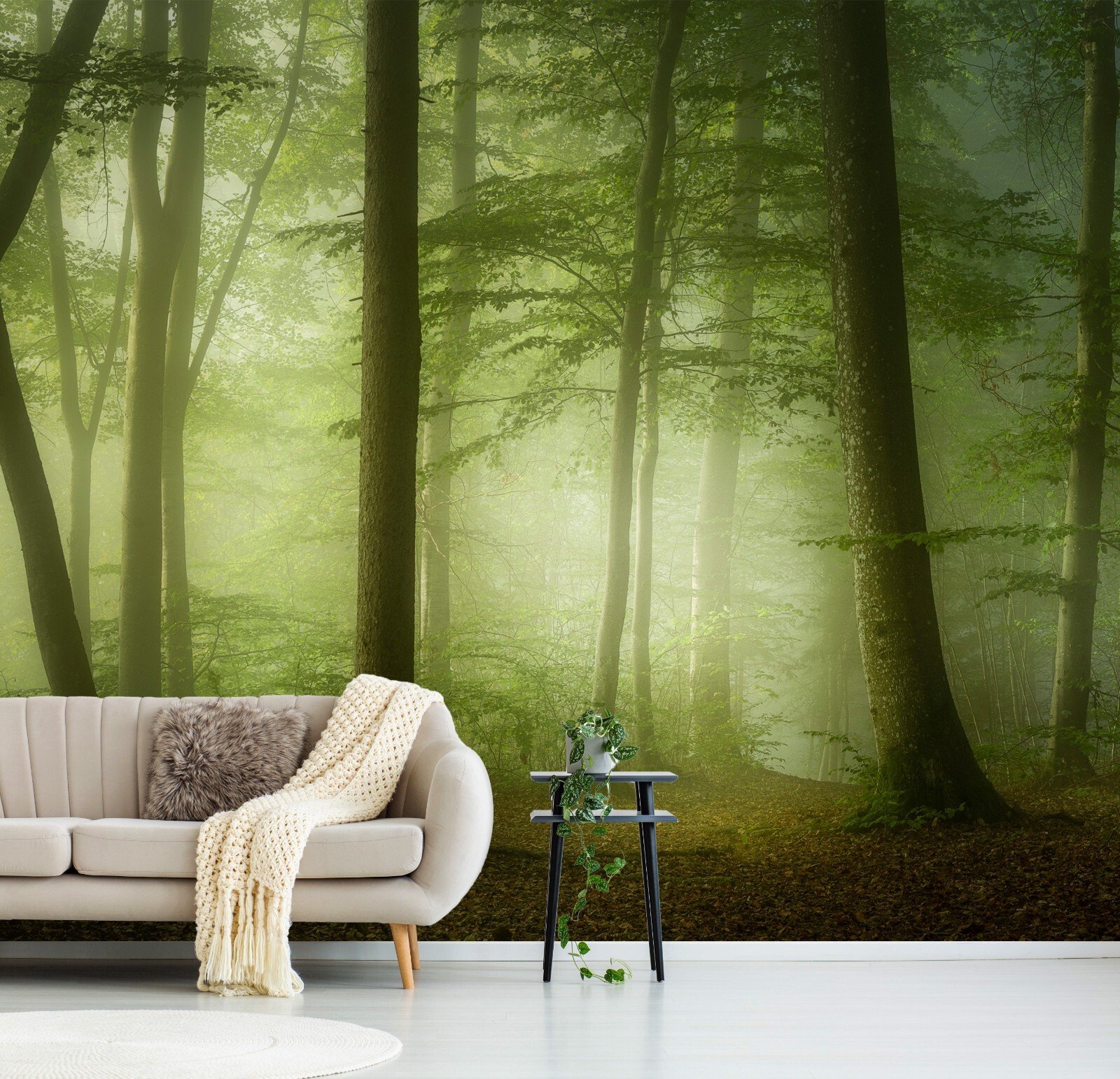 Photo Wall MuralFOGGY FOREST(6816)NON WOVENWallpaperGreen Tree