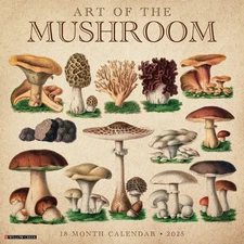 Art of the Mushroom 2025 12" x 12" Wall Calendar