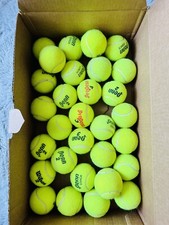 30 TENNIS BALLS, used indoors, great condition. Still ok for PLAY DOGS, WALKERS