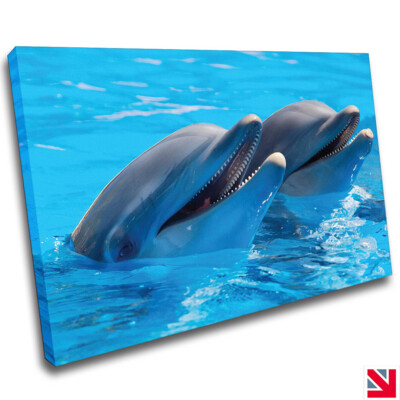 DELFINE TIER NIEDLICH SEALIFE FISCH LEINWANDBILD Wandbild Bild Druck