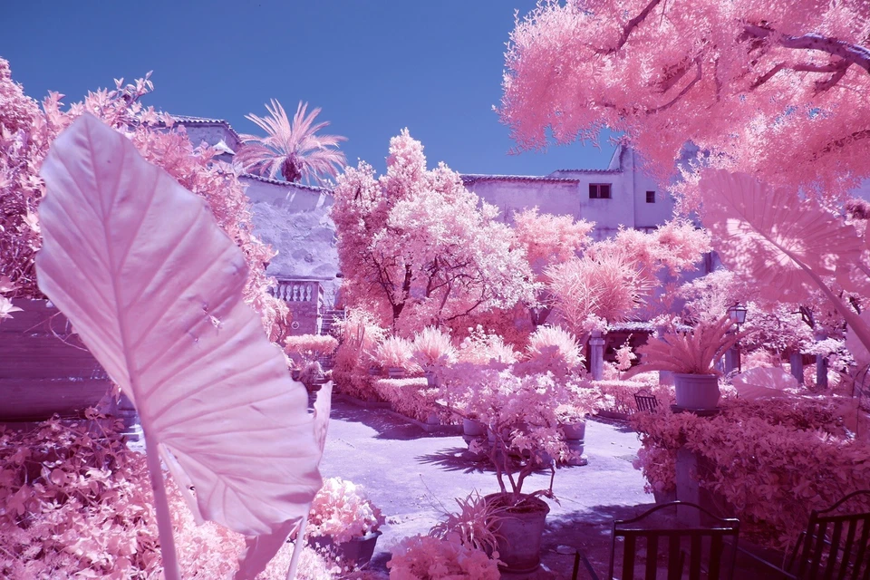 Candy Chrome 550nm /LP, Infrared Filter, 77mm, UK Seller, for full Spectrum mod - Image 4 of 4