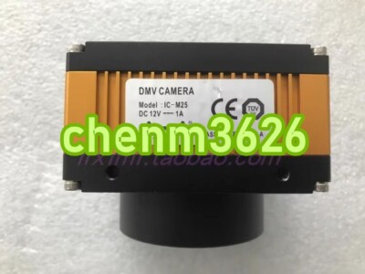 1PC USED ISVI IC-M25 #YY | eBay