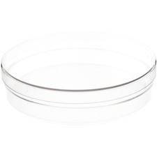 Pioneer Plastics Clear Round Container with Frosted Bottom, 6" W x 1.375" H