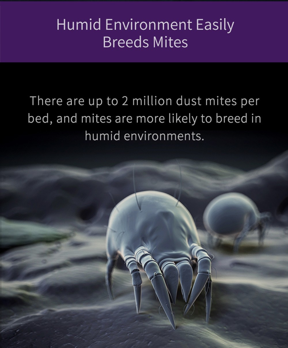 Jimmy JV35 Mattress Vacuum Cleaner 480W Bed Mite Vacuum Cleaner With UV-C+60°C