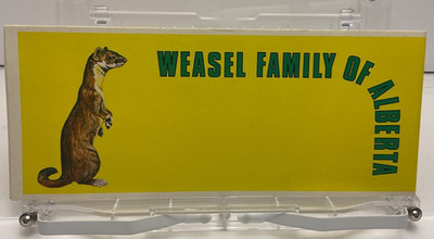 Alberta Energy and Natural Resources Weasel Family of Alberta Brochure A25