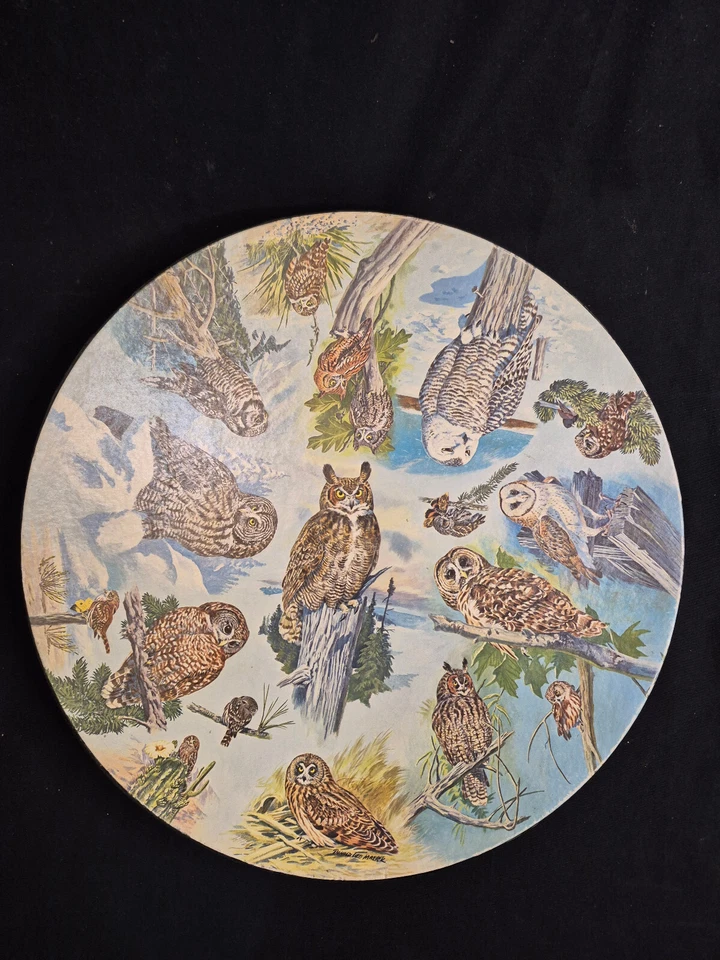 Vintage Springbok Circular Puzzle Owls 1973 2 Pieces Missing - Image 2 of 4