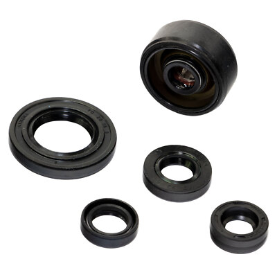 Motor Simmeringe Satz für Yamaha WR 125 X WR125 HM-Moto CRM Rieju Husqvarna SMR