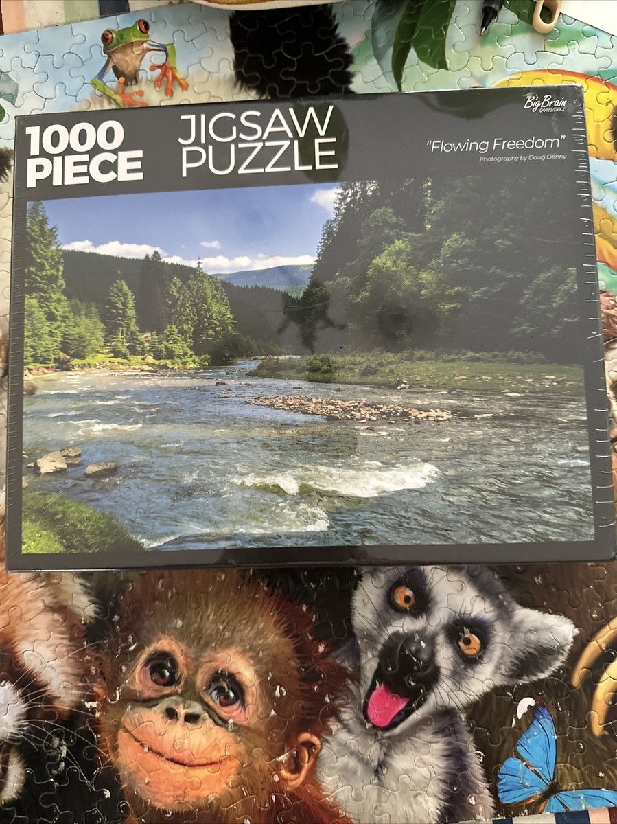 1000 piece jigsaw puzzle 