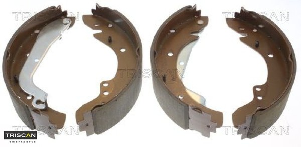Triscan 810010577 Bremsbackensatz 4 Bremsbacken Trommelbremse-image