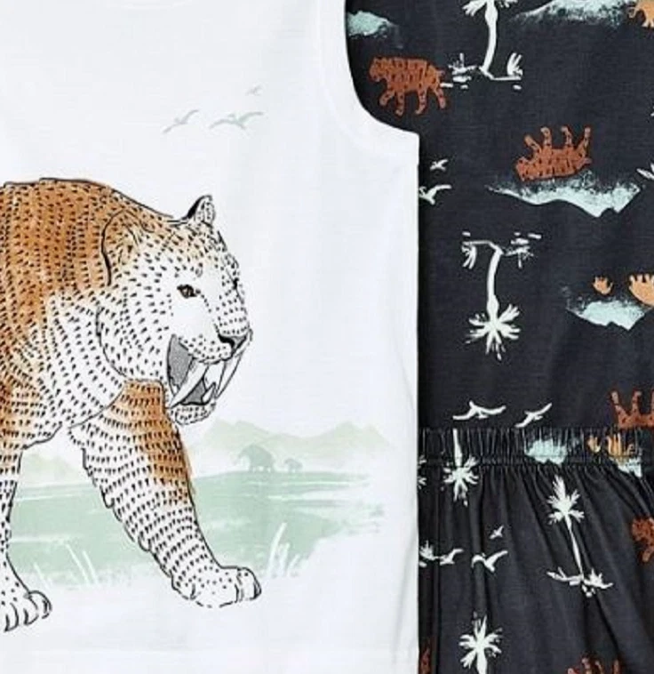 Size 6 boys pjs new arrivals