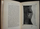 Foto 7 di 9
