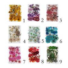 Mixed Pressed Dried Flowers Dry Leaves for Bookmark Cards Making
