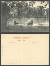 Ceylon Old Postcard Padda Boats, Ratnapura, Native Bullock Cart Crossing a River