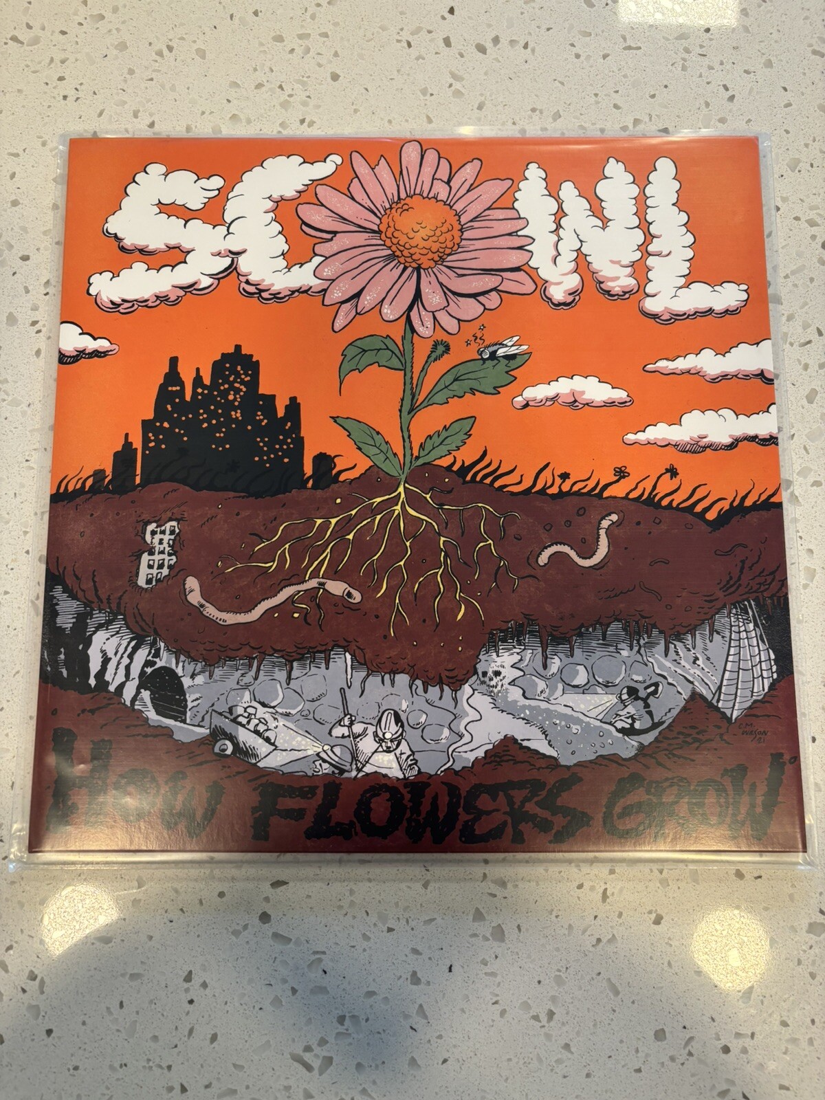 Scowl How Flowers Grow LP Yellow Pink Spinner Vinyl Limited Edition