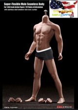 TBLEAGUE PHICEN PL2016-M31 1/6 Seamless Male Muscular Figure Steel Skeleton  USA  