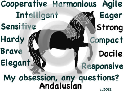 Andalusian Horse My Obsession,  Any Questions? T-shirt 