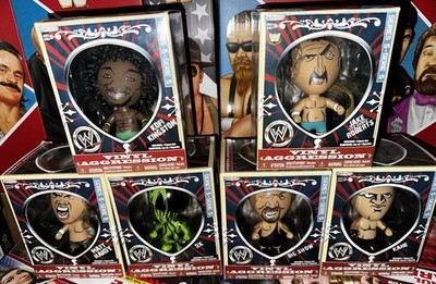 WWE JAKKS: Vinyl Aggression Series 5 - KANE / MATT HARDY / DX / JAKE ROBERTS +