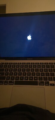 Apple MacBook Air 13.3'' (256GB SSD, Intel Core i3 10th Gen., 3.20 GHz, 8GB)...