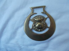 HORSE  BRASS  / SCOTTISH   THISTLE  ?????     (06/11)  POST  INCLUDED