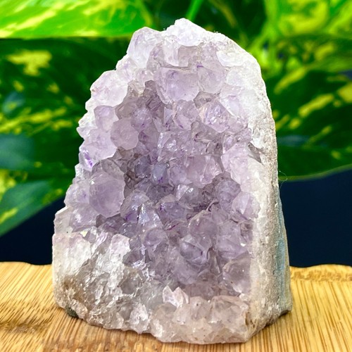 135G Ametista Naturale Geode Quarzo Grappolo Cristallo Esemplare Guarigione - Foto 6 di 16