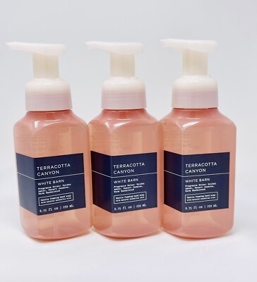 x3 Bath & Body Works TERRACOTTA CANYON Gentle Foaming Hand Soap WHITE BARN