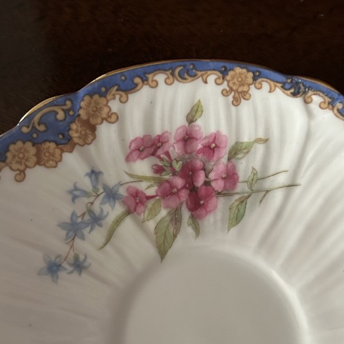 Delicate SHELLEY #13483 Bone China Cup Saucer, Oleander Shape, LOVELY! - Picture 15 of 16