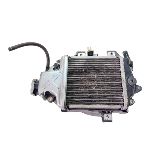 RADIATORE ACQUA HONDA SH MODE 125 JF51E - Bild 5 von 21