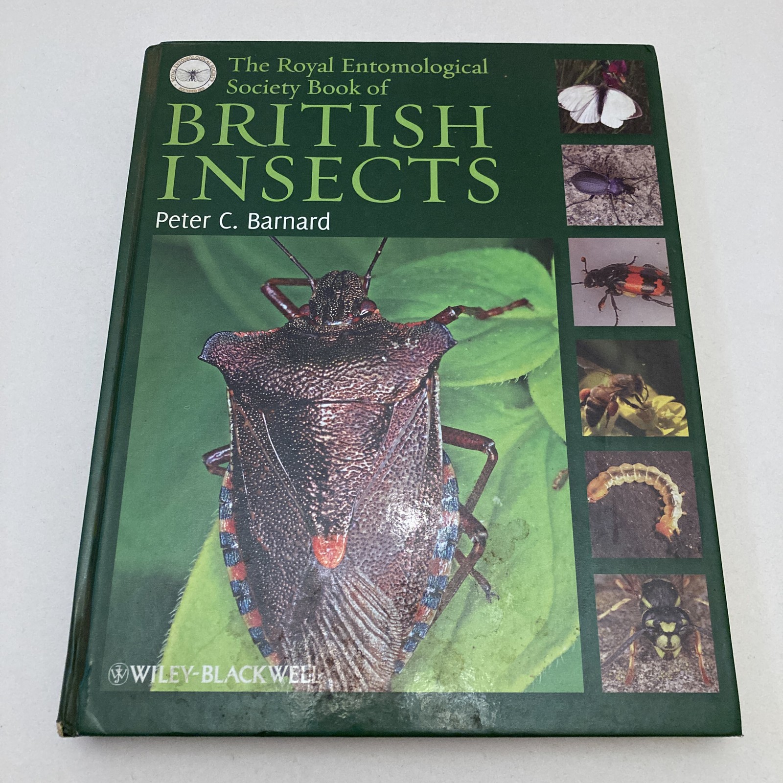 The Royal Entomological Society Book of British Insects by Peter Barnard (2011)