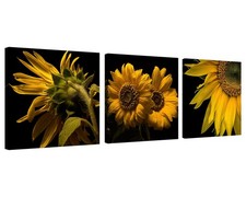 Shy Sunflower Wall Art Canvas Sunflower Decor Black and Yellow Pictures on Wa...