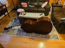 2008 Kolstein Upright Double Bass