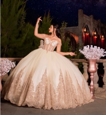 NWT Quinceañera Princess Ball Gown Size 11 Champagne Gold Style AG320